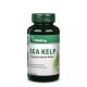 Sea Kelp (Jód) Nyomelem 150mcg (90)
