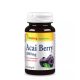 Acai Berry Kivonat (60)