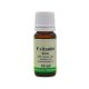 F-vitamin 10 ml