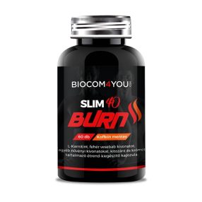 Slim 40 Burn 60db